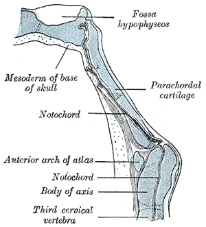 File:Gray68.png