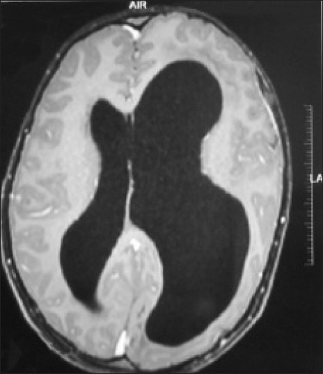 File:OJO-7-43-g005.jpg