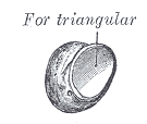 File:Gray224.png
