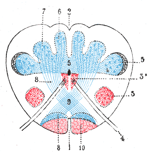 File:Gray693.png