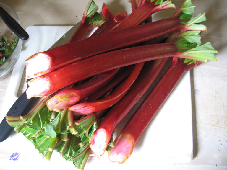 File:01-rhubarb stalks.jpg
