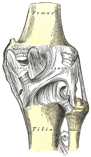File:Gray346.png