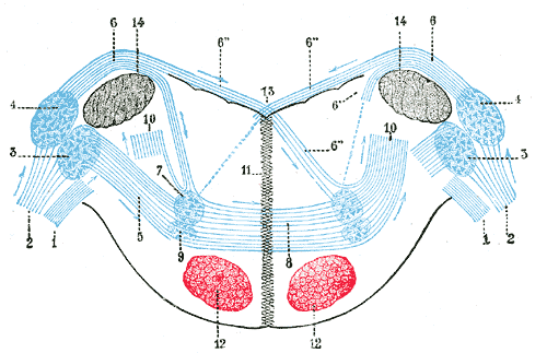 File:Gray760.png