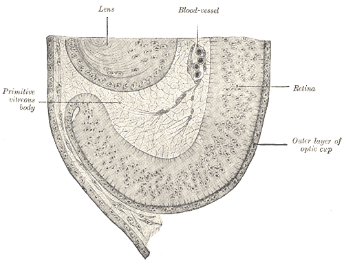 File:Gray868.png