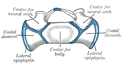 File:Gray110.png