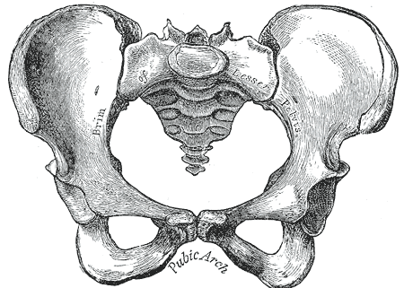 File:Gray242.png