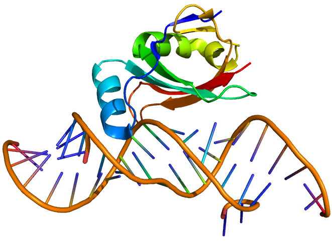 File:1DFU L27.png