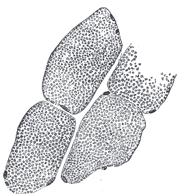 File:Gray373.png