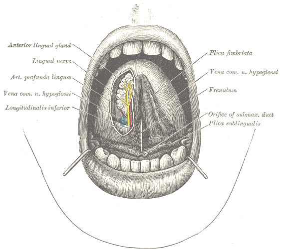 File:Gray1202.png