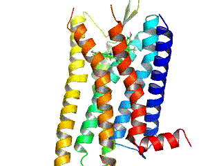File:4DJH anim.2.gif