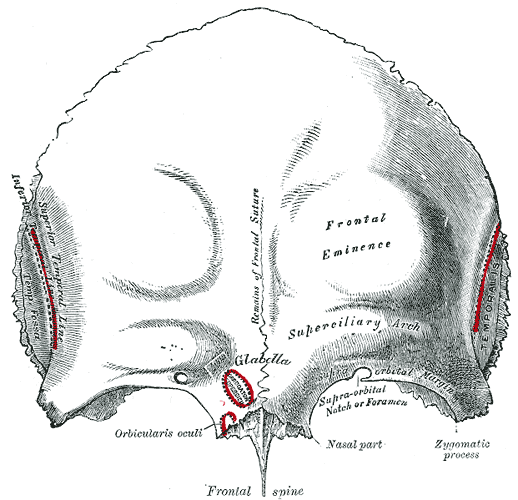 File:Gray134.png