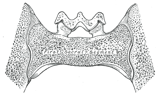 File:Gray322.png