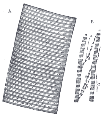 File:Gray375.png