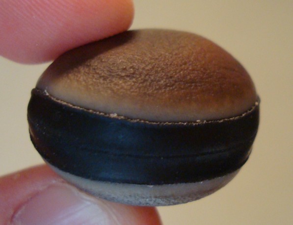 File:Hamburger Seed.jpg