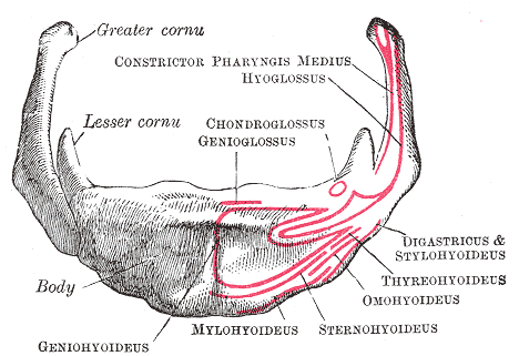 File:Gray186.png