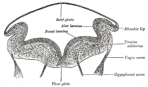 File:Gray648.png