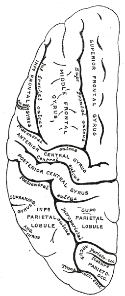 File:Gray725.png