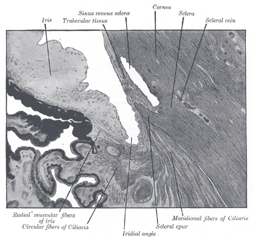 File:Gray870.png