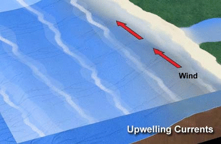 File:Upwelling animated.gif