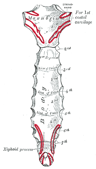 File:Gray116.png