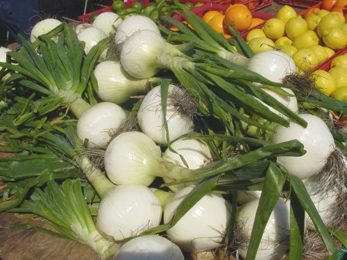 File:Sweet onions 1.jpg