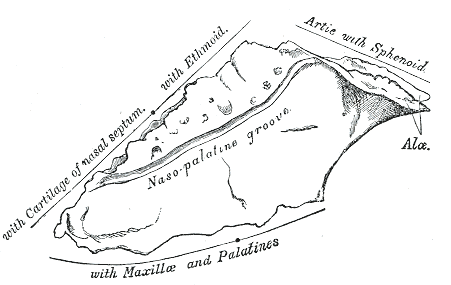 File:Gray174.png