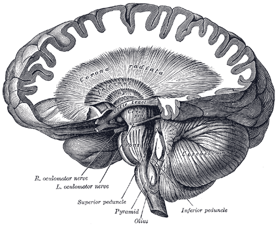 File:Gray745.png