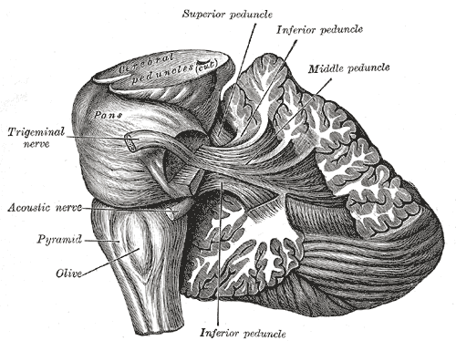 File:Gray705.png