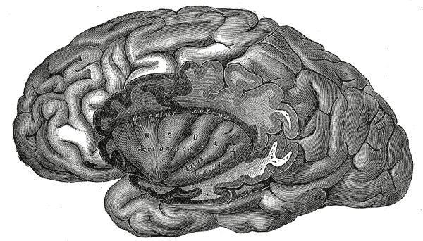 File:Gray731.png