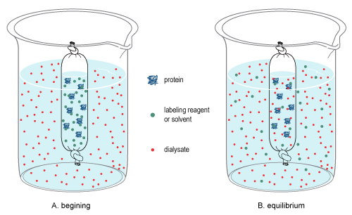 File:Dialysis Figure.png
