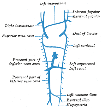 File:Gray479.png
