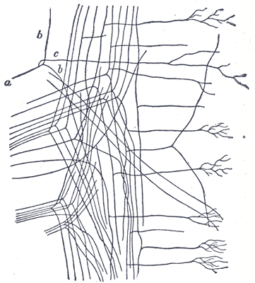 File:Gray676.png
