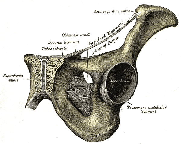File:Gray435.png