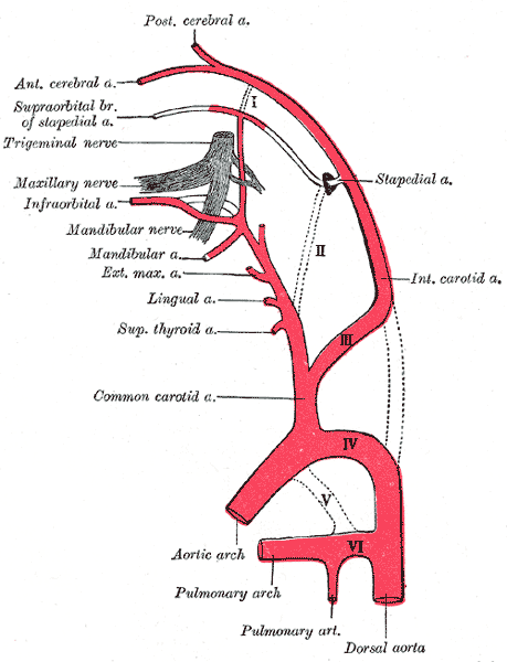 File:Gray474.png