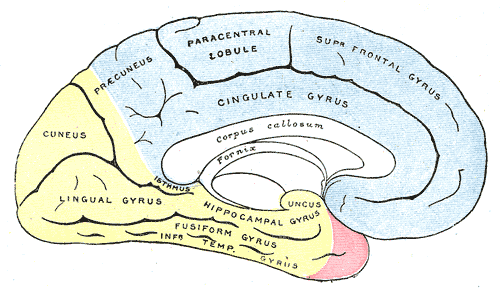 File:Gray518.png