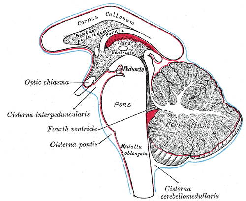 File:Gray768.png