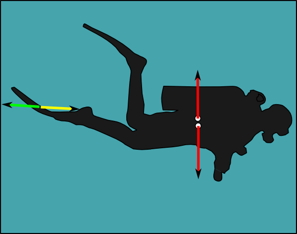 File:Diver trimmed level.png