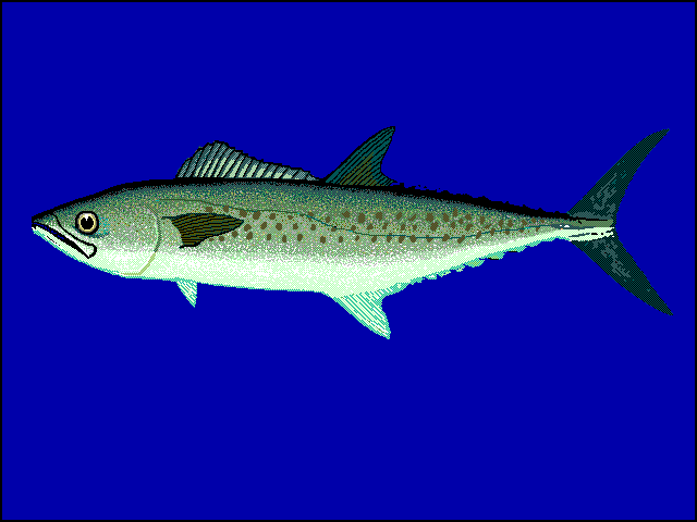 File:Sctri u0.gif