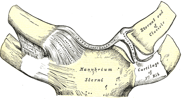 File:Gray325.png