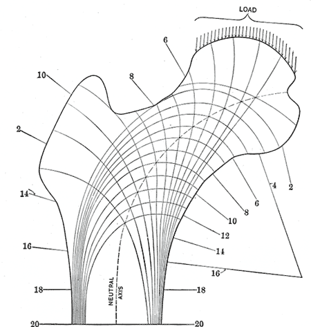 File:Gray248.png
