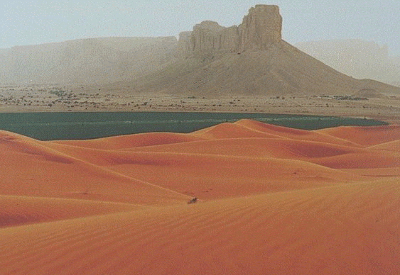 File:Saudi-desert.gif