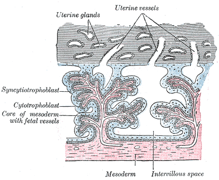 File:Gray37.png