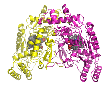 File:1nsi.png