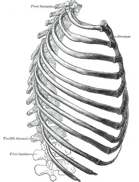 File:Gray114.png