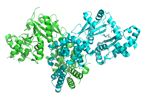 File:2ygw.png