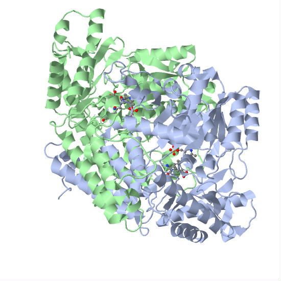 File:PDB GAD67.jpg