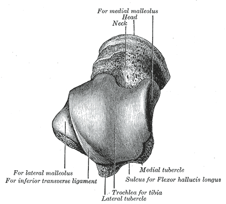 File:Gray270.png