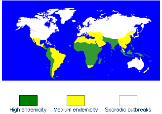 File:Typhoid feverI.gif