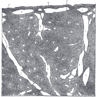 File:Gray976.png