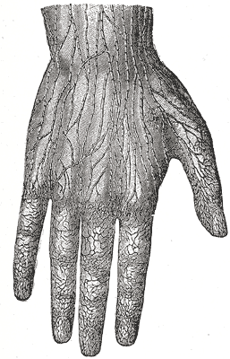 File:Gray608.png